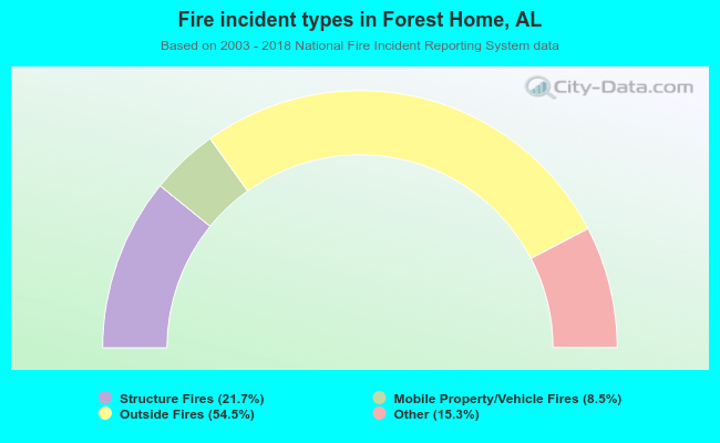 Fire incident types in Forest Home, AL