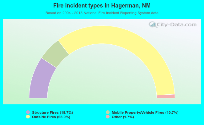 Fire incident types in Hagerman, NM