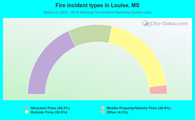 Fire incident types in Louise, MS