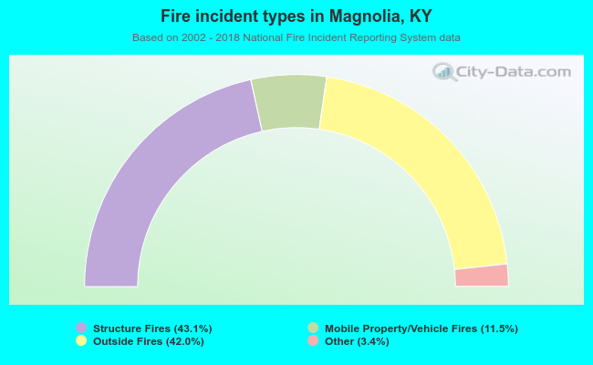 Fire incident types in Magnolia, KY