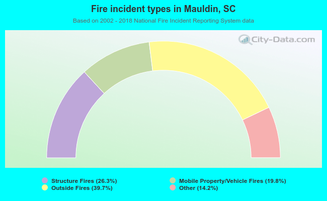 Fire incident types in Mauldin, SC