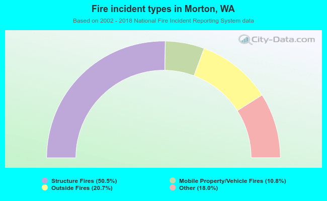 Fire incident types in Morton, WA