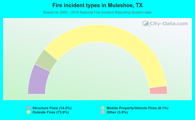 Fire incident types in Muleshoe, TX