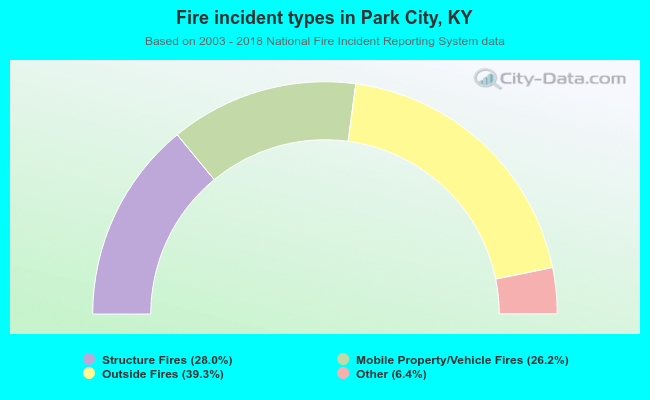 Fire incident types in Park City, KY