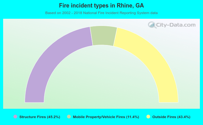 Fire incident types in Rhine, GA