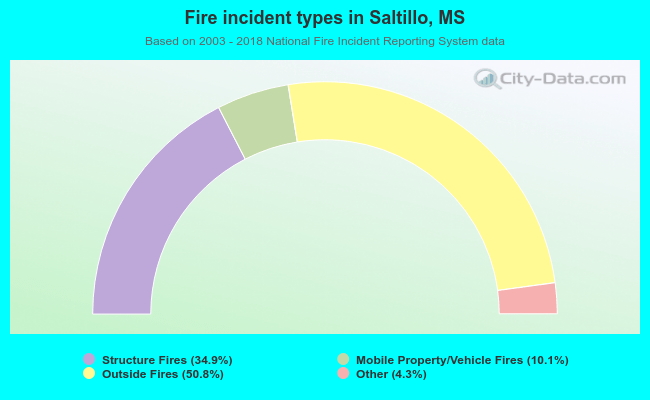 Fire incident types in Saltillo, MS