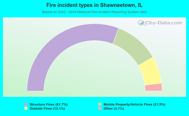 Fire incident types in Shawneetown, IL