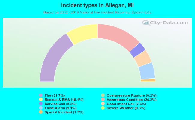 Incident types in Allegan, MI