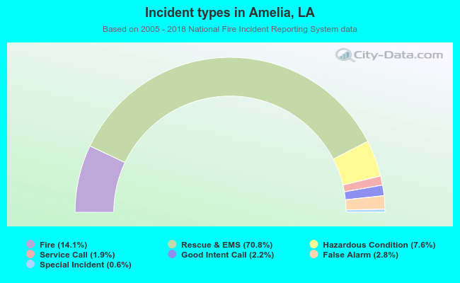 Incident types in Amelia, LA