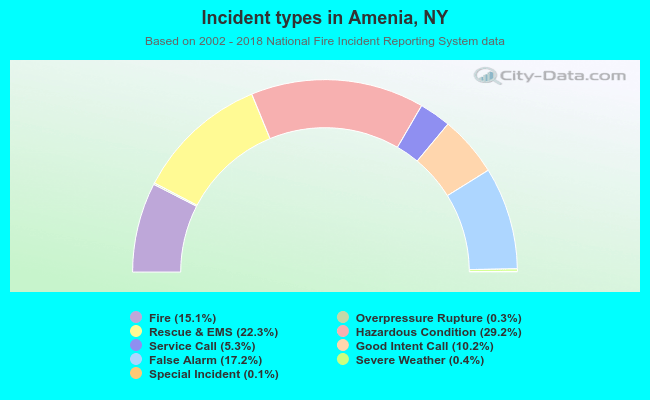 Incident types in Amenia, NY