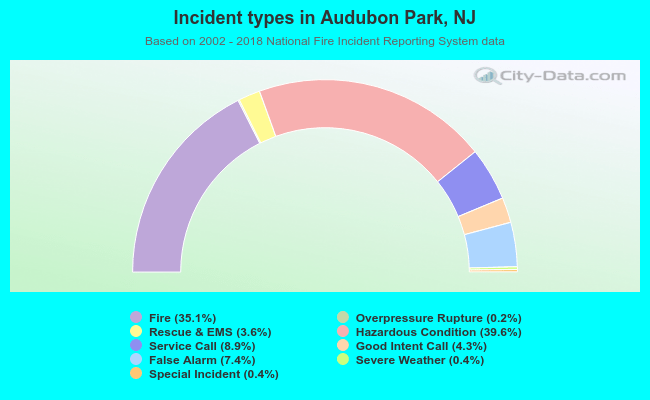 Incident types in Audubon Park, NJ