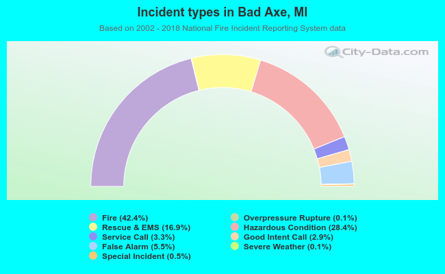 Incident types in Bad Axe, MI