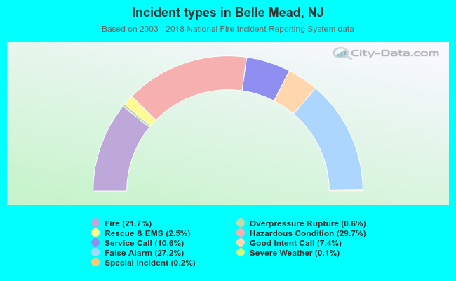 Incident types in Belle Mead, NJ