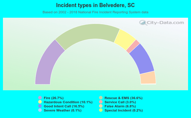 Incident types in Belvedere, SC