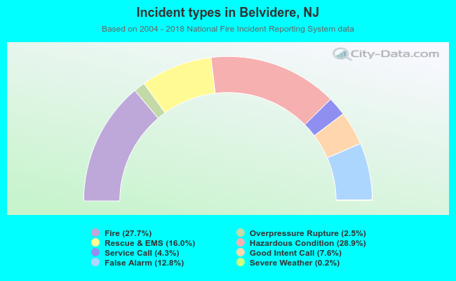 Incident types in Belvidere, NJ