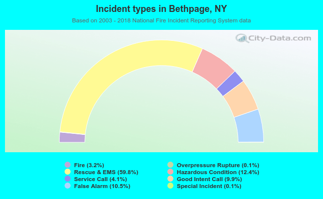 Incident types in Bethpage, NY