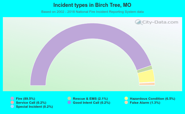Incident types in Birch Tree, MO
