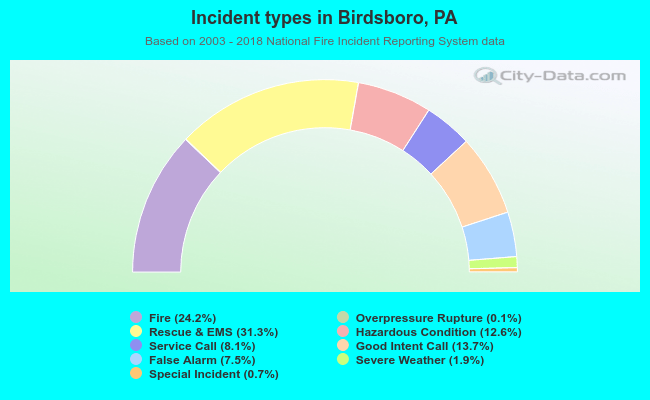 Incident types in Birdsboro, PA