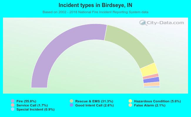 Incident types in Birdseye, IN