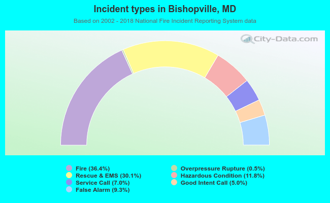 Incident types in Bishopville, MD