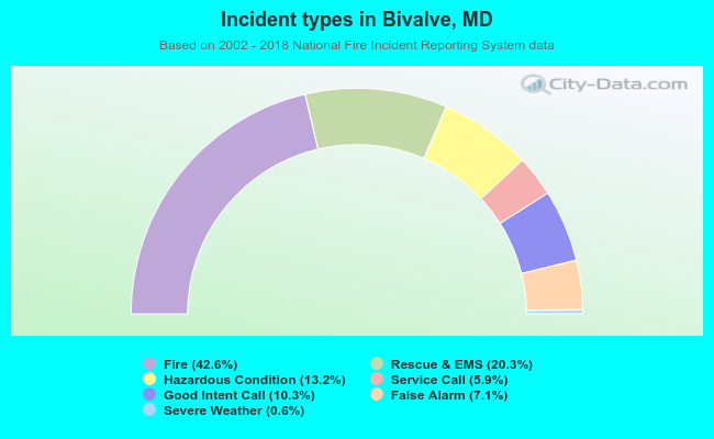 Incident types in Bivalve, MD