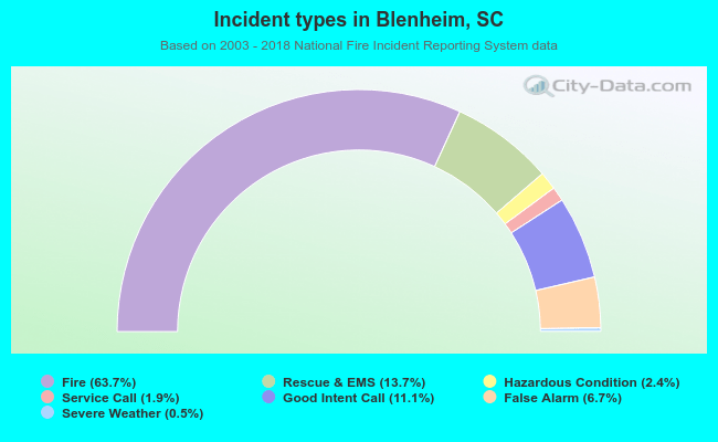 Incident types in Blenheim, SC