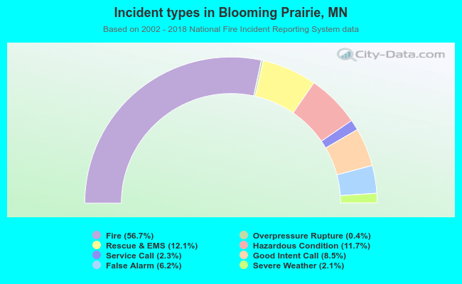 Incident types in Blooming Prairie, MN