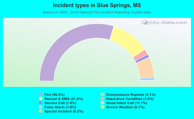Incident types in Blue Springs, MS