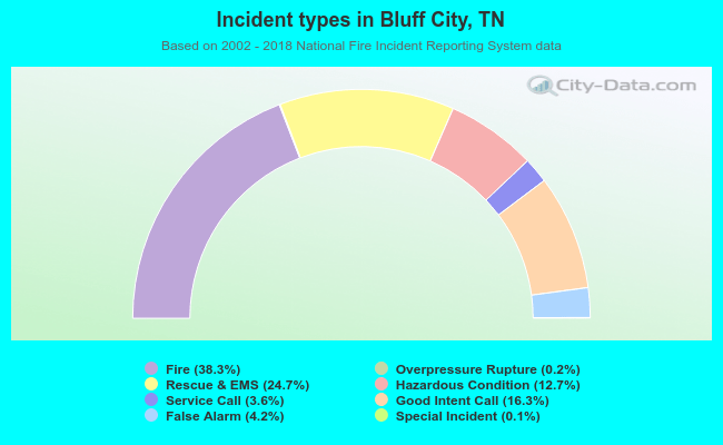 Incident types in Bluff City, TN