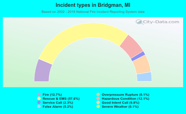 Incident types in Bridgman, MI