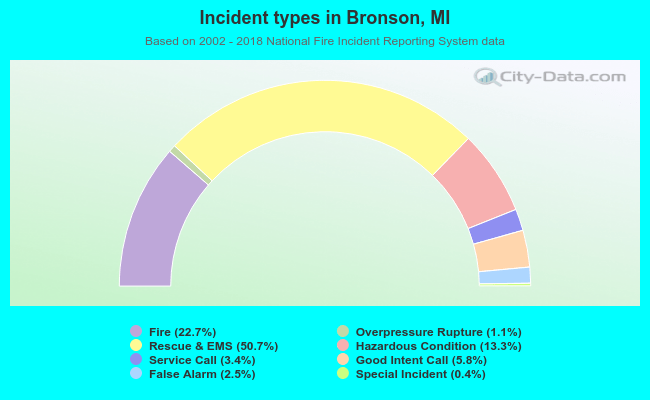 Incident types in Bronson, MI