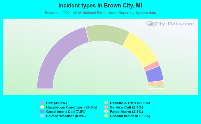 Incident types in Brown City, MI
