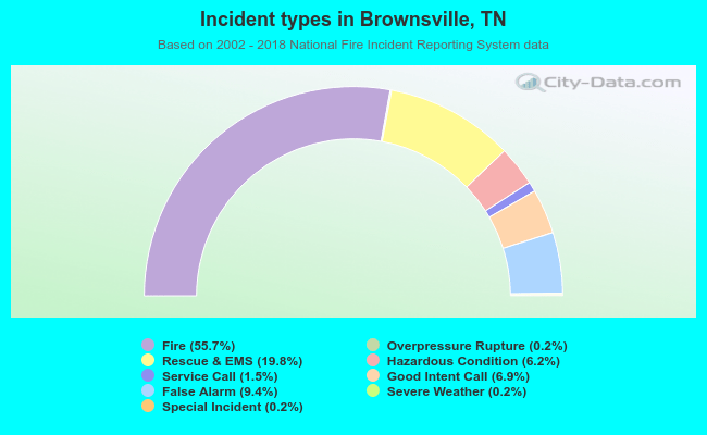 Incident types in Brownsville, TN