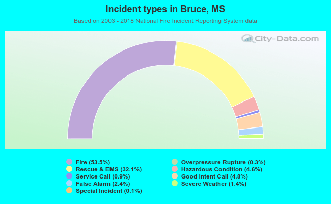 Incident types in Bruce, MS