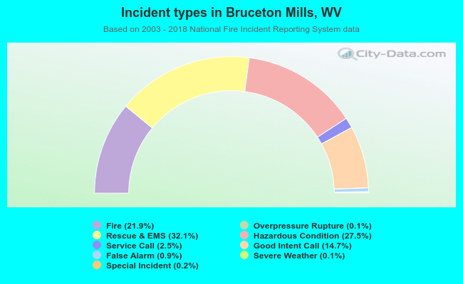 Incident types in Bruceton Mills, WV