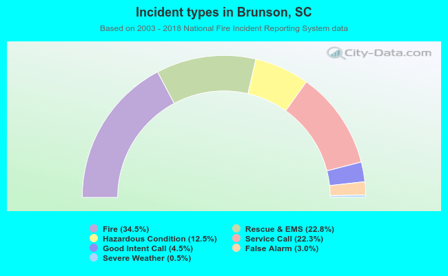 Incident types in Brunson, SC