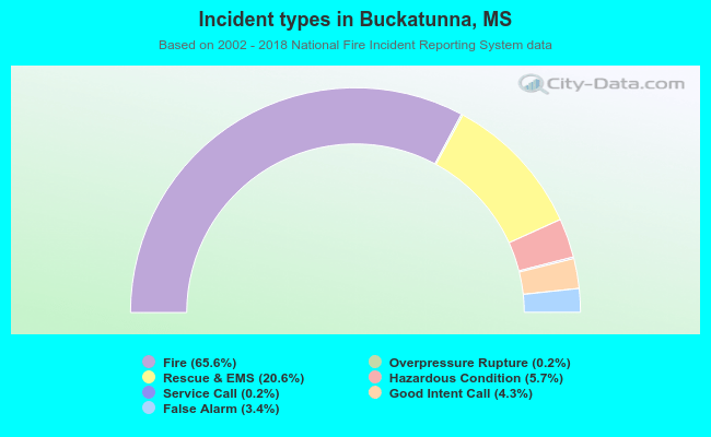Incident types in Buckatunna, MS