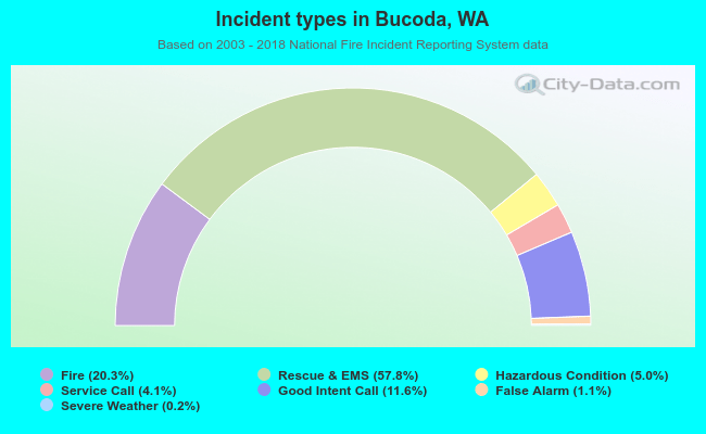 Incident types in Bucoda, WA