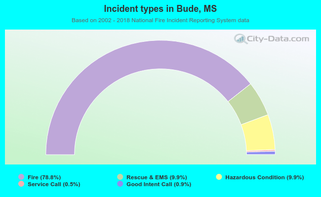 Incident types in Bude, MS