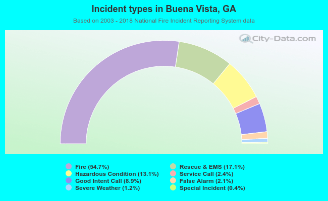 Incident types in Buena Vista, GA