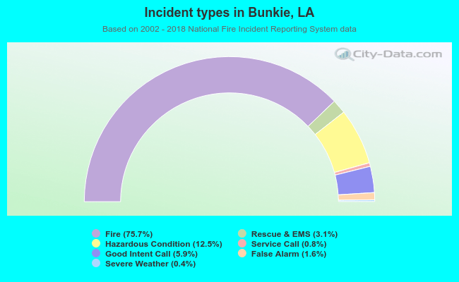 Incident types in Bunkie, LA