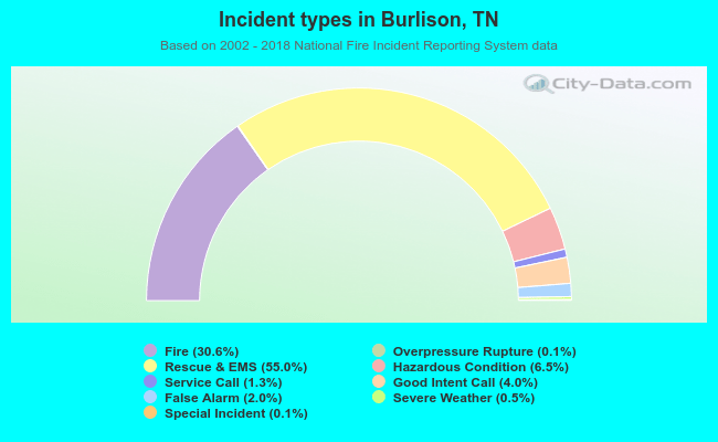 Incident types in Burlison, TN