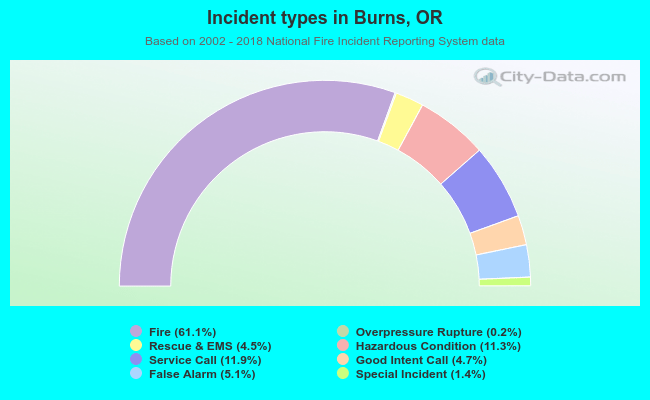 Incident types in Burns, OR