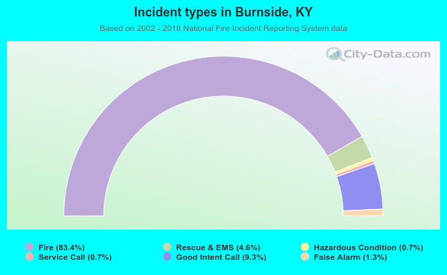 Incident types in Burnside, KY