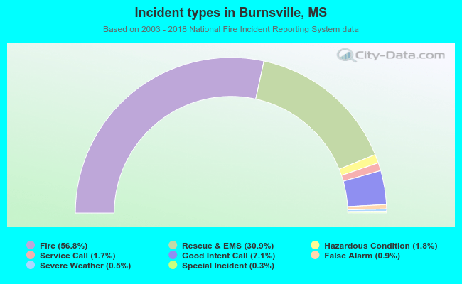 Incident types in Burnsville, MS