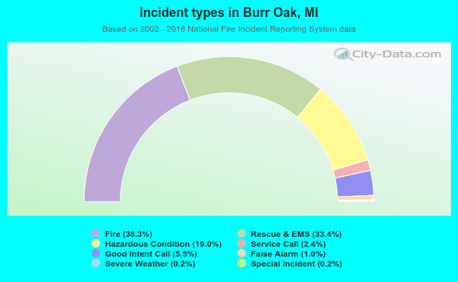 Incident types in Burr Oak, MI