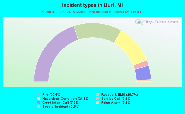 Incident types in Burt, MI