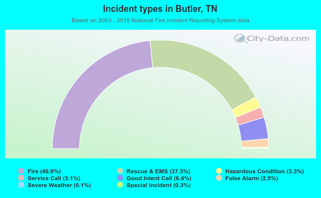 Incident types in Butler, TN