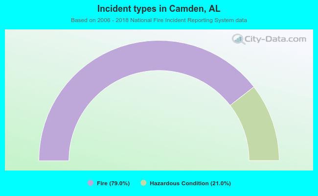 Incident types in Camden, AL