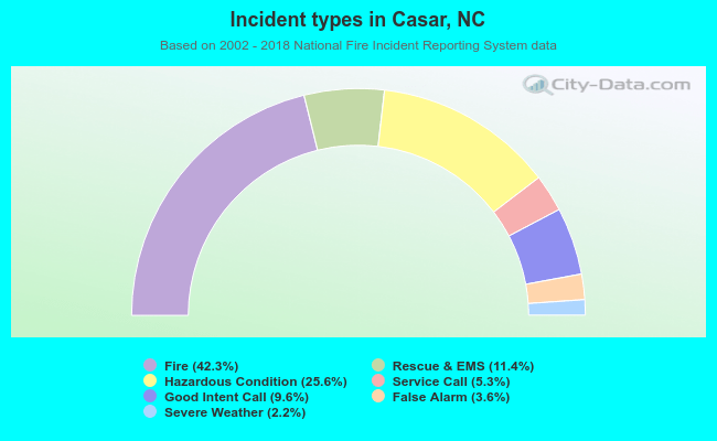 Incident types in Casar, NC